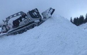 “大熊猫”来到滑雪场 “它们太可爱”